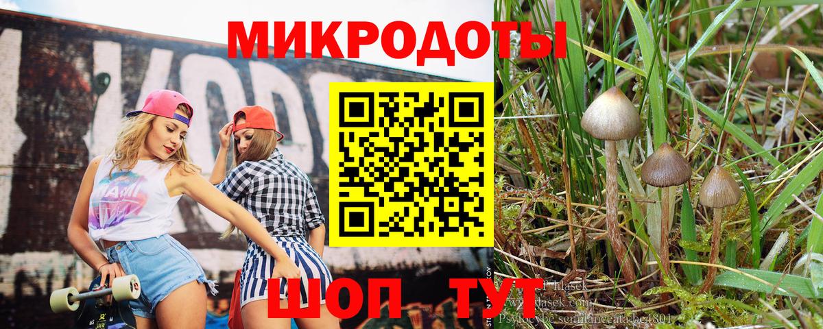 Галлюциногенные грибы Magic Shrooms Приморско-Ахтарск
