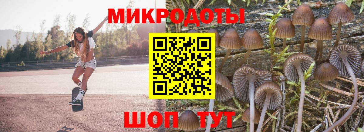 Галлюциногенные грибы мицелий  Вход с VPN  Приморско-Ахтарск 